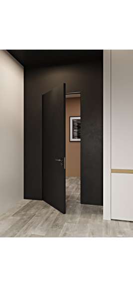 Двери скрытого монтажа крашены по ралл